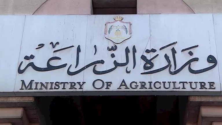 الزراعة تعلن حالة الطوارئ استعدادًا للموسم الشتوي وتوفير التقاوي