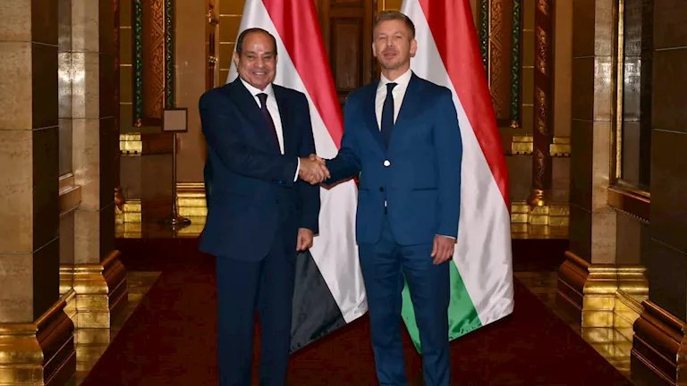 الرئيس السيسي: لا سلام مستدامًا بالشرق الأوسط دون تسوية عادلة للقضية الفلسطينية