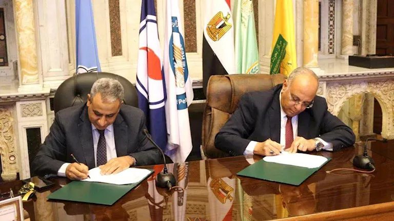 مشروعات جديدة لتحويل المخلفات الزراعية إلى أعلاف ودعم الإنتاج الحيواني.. تفاصيل
