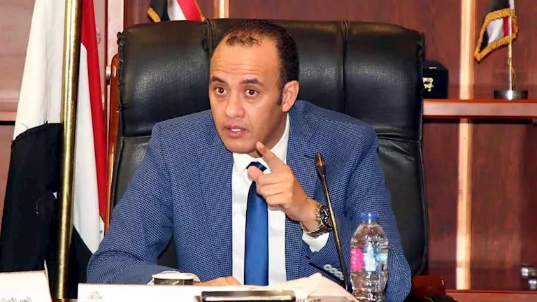 شعبة الدواجن: سعر الكتكوت يتضاعف إلى 40 جنيها بلا مبرر واضح