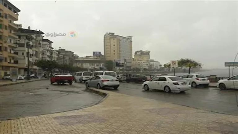 شبورة كثيفة وأمطار ورياح.. الأرصاد تعلن أبرز الظواهر الجوية المتوقعة خلال ساعات