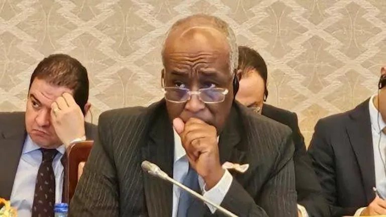 الخارجية: احترام القانون الدولي ليس اختيارا سياسيا ولكن التزاما في سياستنا