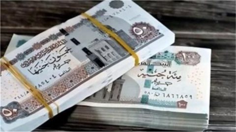 الاستعلام عن معاشات نوفمبر 2026 بالرقم القومي.. خطوات معرفة بيانات المعاش