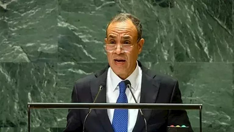 وزير الخارجية: شركات روسية كبرى أبدت رغبتها لتوطين الصناعة بالمنطقة الاقتصادية لقناة السويس