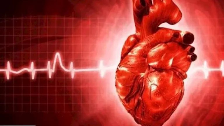 استشاري قلب: الجسم يرسل إشارات مبكرة تنذر بمشكلات قلبية خطيرة | مصراوي