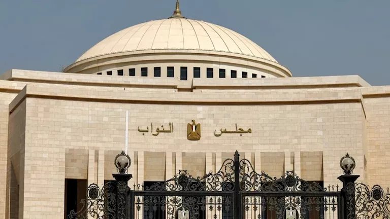 برلماني: تصريحات الرئيس بشأن الدستور تضع القوى السياسية أمام مسؤولية تاريخية