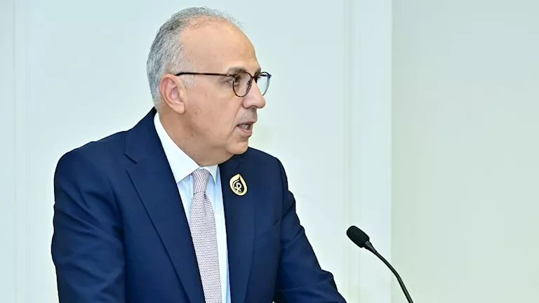 وزير الري: 21 مليار جنيه لحماية الشواطئ المصرية من التغيرات المناخية