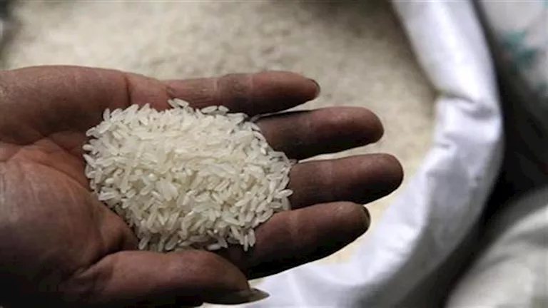 رئيس بحوث الأرز يكشف أسباب ارتفاع الأسعار بعد تراجعها إلى 12.5 ألف جنيه للطن