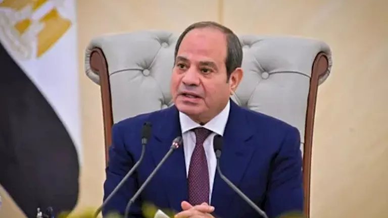 الرئيس السيسي: الدولة تتحمل الجزء الأكبر من تكلفة الطاقة ونسعى لزيادة الاعتماد على الطاقة المتجددة