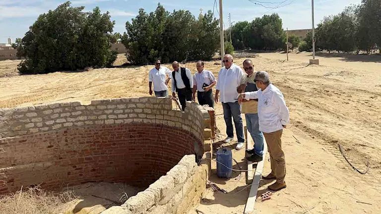 بسبب ملوحة مياه الآبار.. بحوث الصحراء يتحرك لإنقاذ زراعات دير الأنبا موسى برأس سدر
