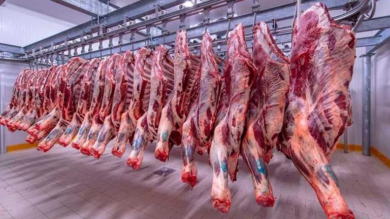 ارتفاع أسعار اللحوم والزيت والجبن اليوم بالأسواق (موقع رسمي)