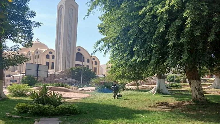 محافظ القاهرة يكشف لمصراوي تفاصيل زراعة مليون شجرة ونبتة لـ"تشجير القاهرة"
