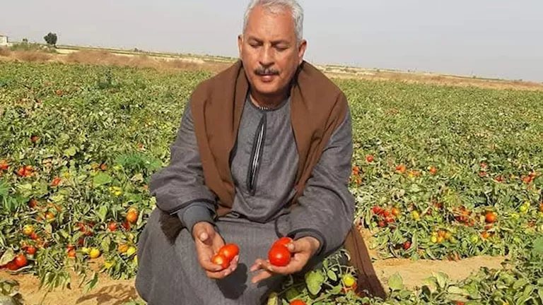 أبو صدام: استصلاح 5 ملايين فدان إضافية مستهدف خلال السنوات المقبلة