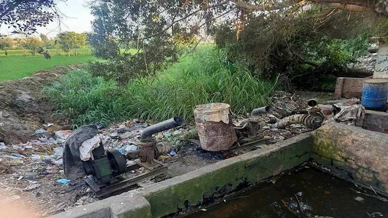 بعد استغاثة مزارع بكفر الشيخ.. الري: المساقي الخاصة خارج اختصاص الوزارة